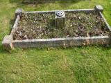 image of grave number 96419